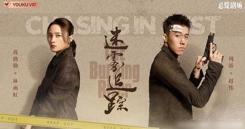 迷雾追踪,揭开神秘事件的层层迷雾