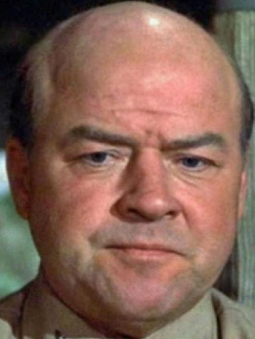 艾卡·琼卡·塞因,探寻神秘文化的璀璨瑰宝